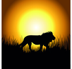 horse on sunset background, vector illustration, savannah wildlife