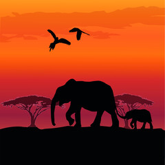 elephants in the shroud at sunset, wildlife vector illustration