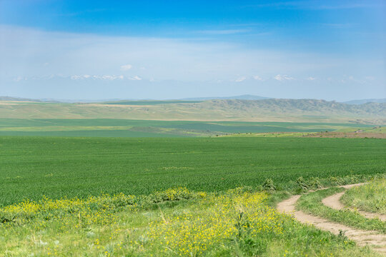Kahetia, Georgia mountain and fields landscape view