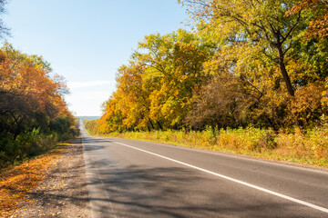Asphalt road and bright autumn trees. Fairytale colorful autumn forest.Colorful leaves around the road