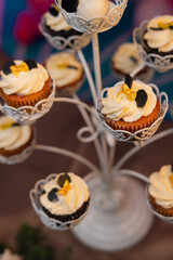 cupcakes in a birthday party