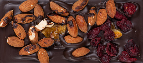 rectangular bar of black Bitter natural chocolate with roasted whole hazelnuts and cranberries