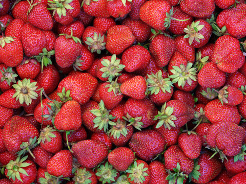 Fresh organic strawberries background