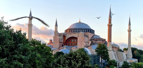 Fototapeta na wymiar view of hagia sofia from behind green trees in the background blue sky and red clouds in foreground seagull