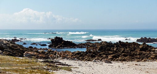 Fototapeta na wymiar rocky, grassy and sandy colored coast of the blue Indian ocean in the south of South Africa