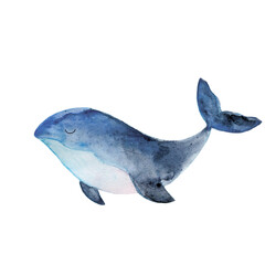 Watercolor whale illustration. Cute marine animal drawing in watercolor style. Sea whale isolated element. Sea animal shape great for nursery design, wall art, card, poster sea vacation design.