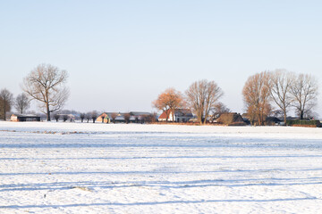 Snowy Dutch polder landscape with farms in the background.