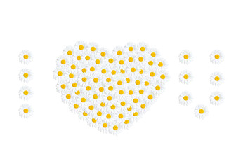 Heart and love floral composition on white
