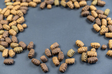 Close-up of colorful pellets of dry dog food. Oval-shaped pellets in front of the gray background. The pellets are brown, beige, and green. Copy space. Selective Focus.