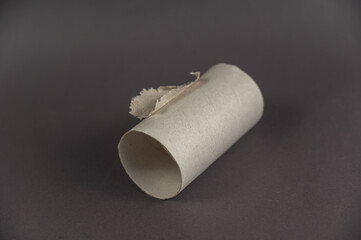 An empty sleeve of toilet paper against a gray background. Cylindrical sleeve with a small piece of toilet paper. Selective focus.