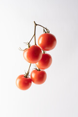 Tomato on branch isolated on a white background