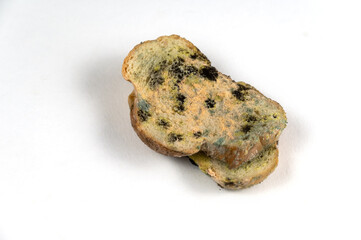 The moldy bread is opposite the neutral background. Two slices of wheat bread covered in fungal mold. Spoiled food. Selective focus.