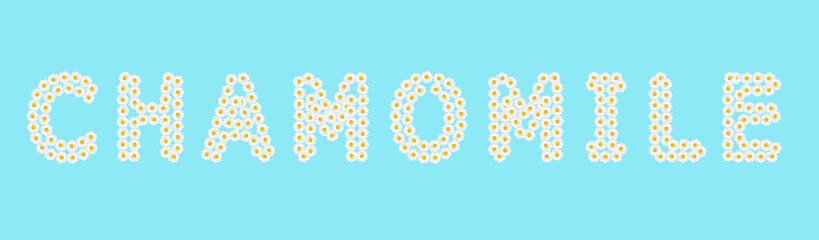 Word CHAMOMILE arranged from white daisies on blue