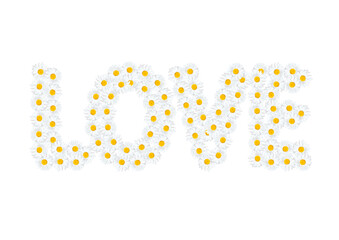 Word LOVE made from white daisies