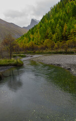 Haute ubaye mélèzes