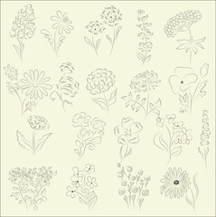 Luxury botanical set with wildflowers and minimalist flowers for wall decoration, cosmetic,  wedding. Hand drawn line herb, elegant leaves for invitation save the date card. Botanical rustic