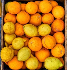 lemons oranges in the market Sicilia