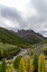 Haute ubaye mélèzes