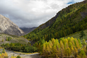 Haute ubaye mélèzes