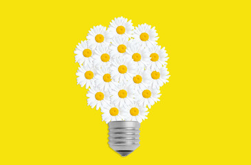Light bulb symbol made from daisies on yellow