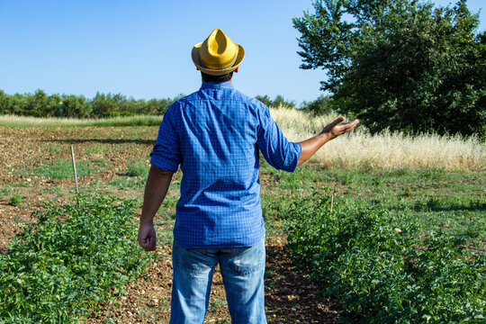 Imagine a farmer with a straw hat looking up at the sky waiting for the rain. Reference to climate change and water scarcity