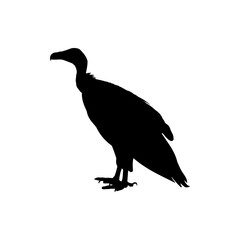 Vulture Silhouette Vector. Best Vulture Icon Illustration On White Background