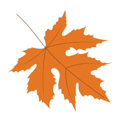 maple leaf in flat design set isolated