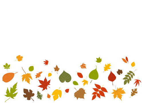 falling leaves on white background, vector