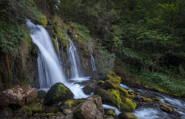 Fototapeta na wymiar Spring of Bastareny river in Baga, Natural Park of Cadi Moixero, Catalonia