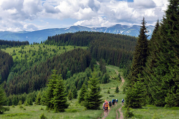 Fototapeta na wymiar A group of tourists with backpacks moves through a valley in the Ukrainian Carpathians