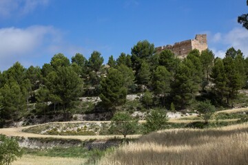 Fototapeta premium Paisaje con el Castillo de Barchell, Alcoy, tomada con objetivo de 35mm