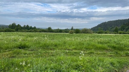 Landscape in Karelia on meadows
