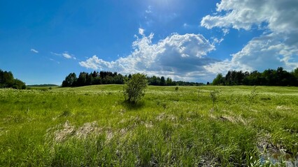 Landscape in Karelia on meadows
