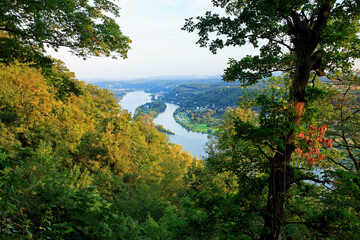 Blick vom Drachenfels auf den Rhein