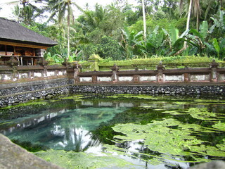 Fototapeta na wymiar Water in Bali