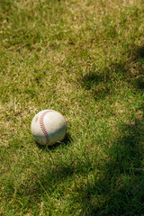 球場内に転がる硬式野球ボール