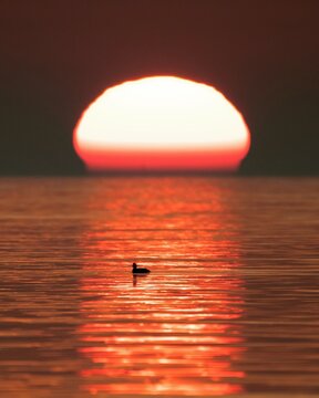 sunset in the sea