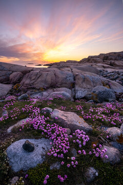 sunset in the mountains