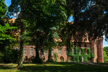 Fototapeta na wymiar monastery in wienhausen, germany with trees