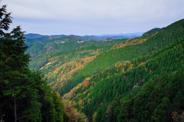 Naklejka premium 高野山の秋風景