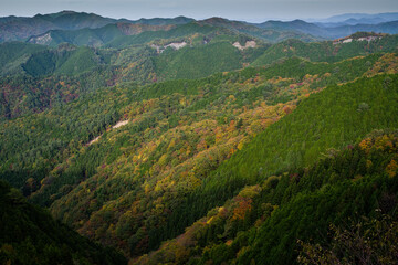 Obraz premium 高野山の秋風景