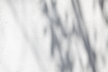 Branches and leaves shadows on white wall outside. Concrete wall texture. Nature Abstract background. Suitable for product presentation backdrop, display, and Mock up. Copy space