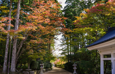 高野山の秋風景
