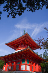 Fototapeta premium 高野山の秋風景