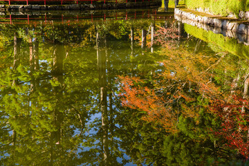 高野山の秋風景