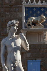 Firenze. Piazza della Signoria. Copia del busto del David di Michelangelo con leone in edicola
