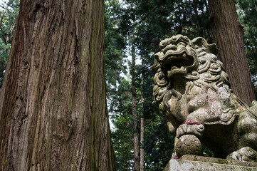 奈良 室生龍穴神社の狛犬