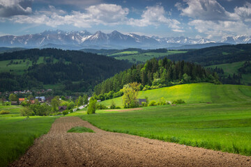 Fototapeta na wymiar view of the Polish Tatra Mountains in May