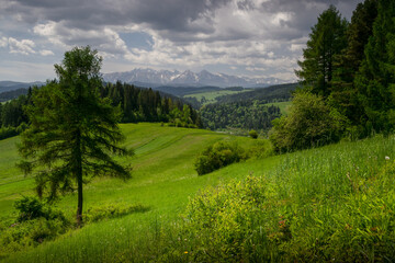 
view of the Polish Tatra Mountains in May