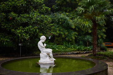 Beautiful small pond with lilies in Tbilisi botanical garden. Tbilisi, Georgia